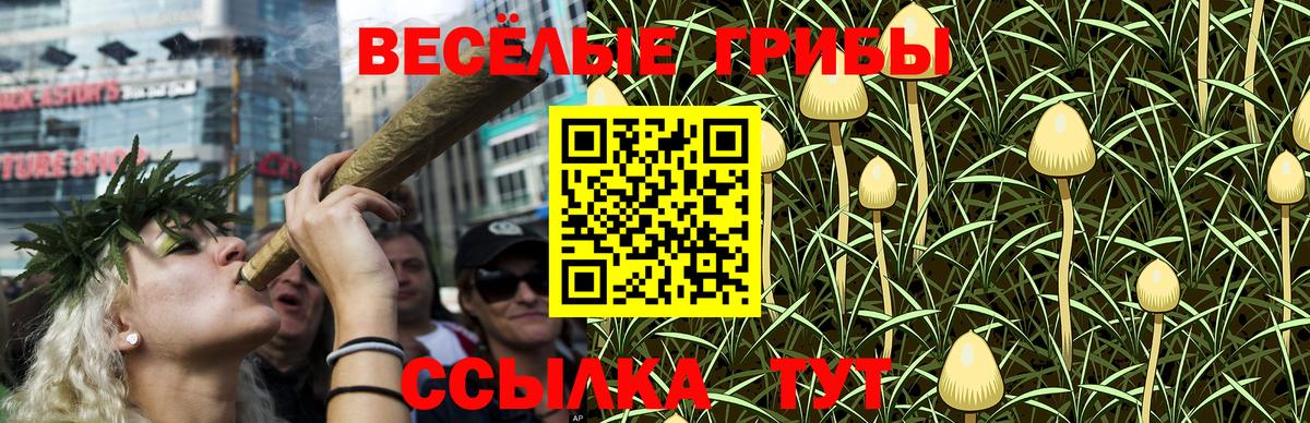 Псилоцибиновые грибы GOLDEN TEACHER Грязи