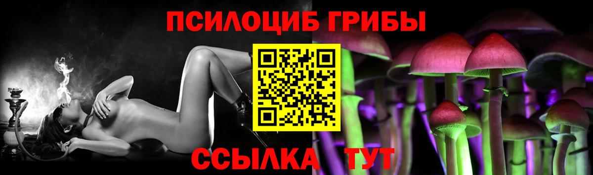 Грязи  Галлюциногенные грибы GOLDEN TEACHER  Вход с VPN 